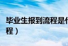 毕业生报到流程是什么（毕业生报到证报到流程）