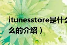 itunesstore是什么（关于itunesstore是什么的介绍）