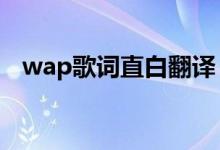 wap歌词直白翻译（wap歌曲mv无净化）