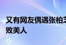 又有网友偶遇张柏芝逛超市了！真真的岁月不败美人