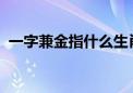 一字兼金指什么生肖打一动物权威揭晓落实