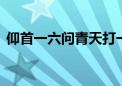 仰首一六问青天打一生肖动物,精选解释落实