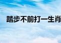 踏步不前打一生肖数字数字,精选作答落实