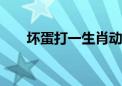 坏蛋打一生肖动物,精选解析解释落实