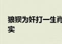 狼狈为奸打一生肖动物数字,答案全面解释落实