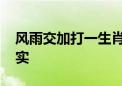 风雨交加打一生肖代表什么生肖,精选解释落实