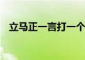 立马正一言打一个生肖动物,精选解释落实