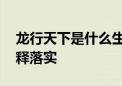 龙行天下是什么生肖解一个动物生肖,全面解释落实