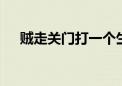 贼走关门打一个生肖动物,资料解释落实