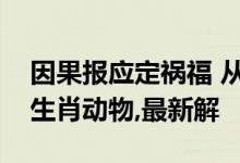 因果报应定祸福 从心所欲是什么生肖猜一个生肖动物,最新解