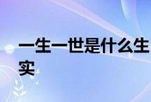 一生一世是什么生肖猜一个动物,详细解释落实