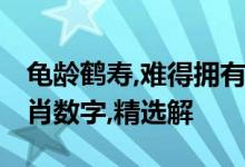 龟龄鹤寿,难得拥有,人生之路慢慢走是什么生肖数字,精选解