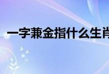 一字兼金指什么生肖打一动物权威揭晓落实