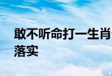 敢不听命打一生肖生肖猜一个动物,最新解释落实