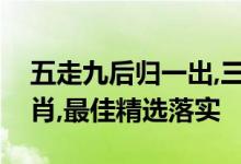 五走九后归一出,三前四后五有意是指什么生肖,最佳精选落实