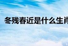 冬残春近是什么生肖打一动物精选最佳落实