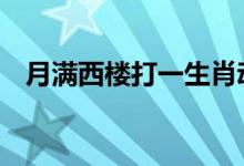 月满西楼打一生肖动物数字,标准解释落实