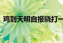 鸡到天明自报晓打一生肖数字,揭秘解释落实