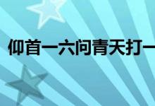 仰首一六问青天打一生肖动物,精选解释落实