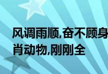 风调雨顺,奋不顾身,驛前歷歷堠双只打一个生肖动物,刚刚全