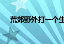 荒郊野外打一个生肖动物,精选解释落实