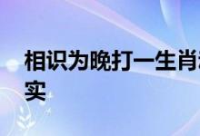 相识为晚打一生肖动物动物,作答诗意解释落实