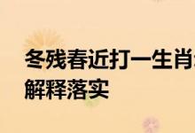 冬残春近打一生肖动物打一种生肖,精选解析解释落实