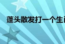 蓬头散发打一个生肖动物,解经典资料落实