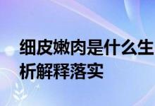 细皮嫩肉是什么生肖猜一个生肖动物,完美解析解释落实