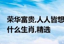 荣华富贵,人人皆想,须有福份放得享代表是指什么生肖,精选