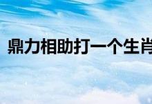 鼎力相助打一个生肖动物,详细全面解释落实