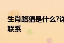 生肖路猜是什么?详细解析十二生肖与道路的联系