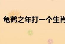 龟鹤之年打一个生肖动物,重点全面解释落实