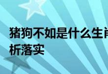 猪狗不如是什么生肖打一生肖动物精选解释解析落实