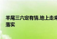 羊尾三六定有情,地上走来水里游打一个生肖动物,词语解释落实