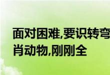 面对困难,要识转弯,勇夺智取过难关打一个生肖动物,刚刚全