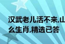 汉武老儿活不来,山中居住秋冬到代表是指什么生肖,精选已答