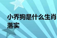 小乔狗是什么生肖猜一个生肖动物,完美解释落实