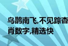 鸟鹊南飞,不见踪杳,有话在口口难宣打一个生肖数字,精选快