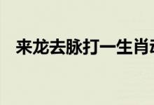 来龙去脉打一生肖动物动物,作答解析落实