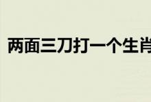 两面三刀打一个生肖动物,精选快答释义落实