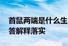 首鼠两端是什么生肖猜一个动物生肖,完美解答解释落实