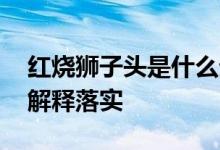 红烧狮子头是什么生肖猜一个动物生肖,最新解释落实