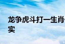 龙争虎斗打一生肖代表什么生肖,精选解释落实