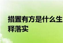 措置有方是什么生肖解一个动物生肖,精准解释落实