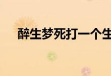 醉生梦死打一个生肖动物,词语解释落实