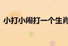 小打小闹打一个生肖动物,刚刚全面解释落实