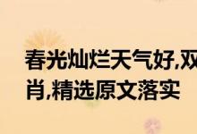 春光灿烂天气好,双喜临门一大篇是指什么生肖,精选原文落实