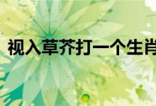 视入草芥打一个生肖动物,精选快答释义落实