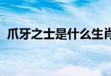 爪牙之士是什么生肖打一动物权威揭晓落实